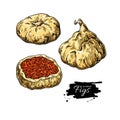 Dried fig vector drawing. Hand drawn dehydrated fruit illustration