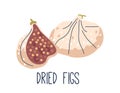 Dried Figs Are Chewy, Sweet Fruits With A Dense Texture. They Offer A Concentrated Flavor Reminiscent Of Honey