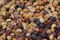 dried figs, dried soft figs from morocco, taberrant. Royalty Free Stock Photo