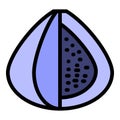 Dried figs icon color outline vector