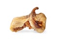 Dried figs. Torn dry fig isolated on a white. One dried fruit Royalty Free Stock Photo