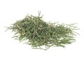 Dried fir needles after christmas isolated over white background. Royalty Free Stock Photo