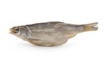 Dry fish isolated on white background. Royalty Free Stock Photo