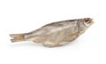 Dry fish isolated on white background. Royalty Free Stock Photo