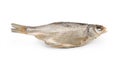 Dry fish isolated on white background. Royalty Free Stock Photo