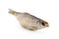 Dry fish isolated on white background. Royalty Free Stock Photo