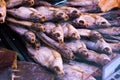 Dried fish chekhon on the counter of the store Royalty Free Stock Photo