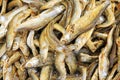 Dried fish Royalty Free Stock Photo