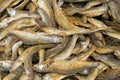 Dried fish Royalty Free Stock Photo