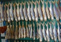 Dried fish, Colonae, Macao Royalty Free Stock Photo