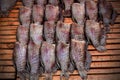 Dried fish fillets on white background