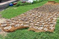 Dried fish in Hikkaduwa, Sri Lanka