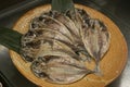 Dried fish at a food stall at the Tsukiji Outer Market in the city of Tokyo in Japan. Royalty Free Stock Photo