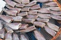 Dried fish on the grid Royalty Free Stock Photo
