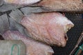 Dried fish on the grid in the market Royalty Free Stock Photo