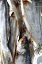 Dried fish hanging in market Royalty Free Stock Photo