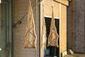 Dried fish hanging in the sun in the streets of Nachikatsuura, Wakayama Japan. Royalty Free Stock Photo