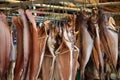 Dried fish on hooks at Jagalchi Fish Market, Busan, Korea Royalty Free Stock Photo