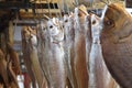 Dried fish on hooks at Jagalchi Fish Market, Busan, Korea Royalty Free Stock Photo