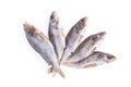 Dried fish isolated on a white background Royalty Free Stock Photo