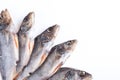 Dried fish isolated on a white background Royalty Free Stock Photo