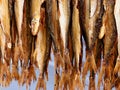 dried fish in the market