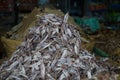 Dried fish in the market Royalty Free Stock Photo