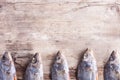 Dried fish on the old wood Board background Royalty Free Stock Photo