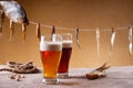 Dried fish, rope, pistachio nuts and beer Royalty Free Stock Photo
