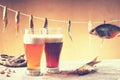 Dried fish, rope, pistachio nuts and beer Royalty Free Stock Photo