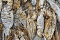 Dried fish for sale at the market