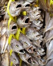 Dried fish for sale Royalty Free Stock Photo