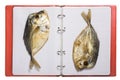 dried fish selene on sheets of a notebook Royalty Free Stock Photo