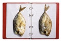 Dried fish selene on sheets of a notebook Royalty Free Stock Photo