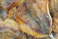 Dried fish snack Royalty Free Stock Photo
