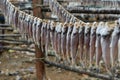 Dried fish