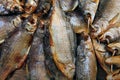 Dried Fish Vobla wooden table Royalty Free Stock Photo