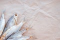 Dried fishes flat lay template banner on craft paper background with empty space for text. Salted roach web cover