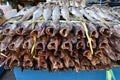 Dried fishes at Jagalchi Market, Busan, South Korea Royalty Free Stock Photo