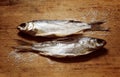 Dried fish food still life selective focus