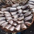 Dried fishs Royalty Free Stock Photo