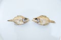 Dried fishs isolated on white background Royalty Free Stock Photo
