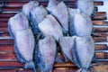 Dried fishs of local food at open fish market thailand