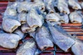 Dried fishs of local food at open fish market thailand