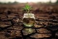 Dried, fissured soil supports a glass with emerging green shoots, symbolizing the dawn of a new existence Royalty Free Stock Photo