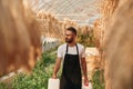 Dried flax is hanging. Young gardener is in the greenhouse