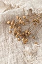 Dried flax plant bunch on pure linen fabric