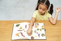 Dried flower art. Herbarium. Child making picture from pressed flowers. Royalty Free Stock Photo