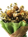 Dried flower bunch on white background