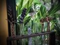 Dried flower in transparent long beaker. Decorate in wooden slot.